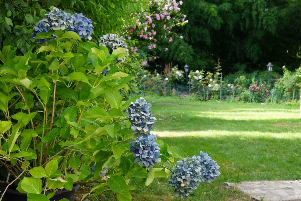 Le Moulin De La Planche Bed & Breakfast Cerelles Bagian luar foto