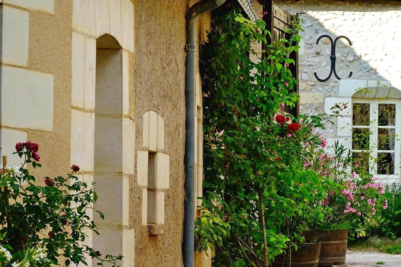 Le Moulin De La Planche Bed & Breakfast Cerelles Bagian luar foto