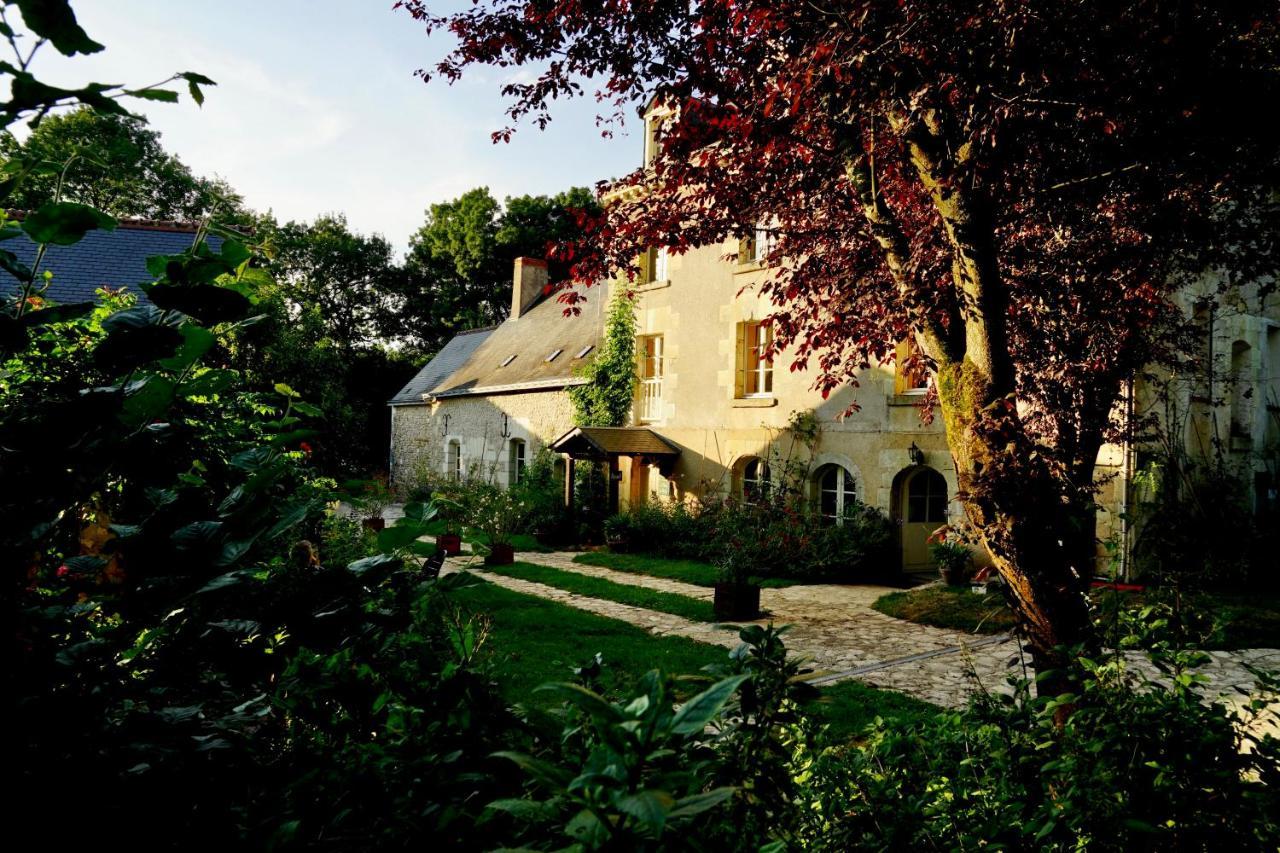 Le Moulin De La Planche Bed & Breakfast Cerelles Bagian luar foto