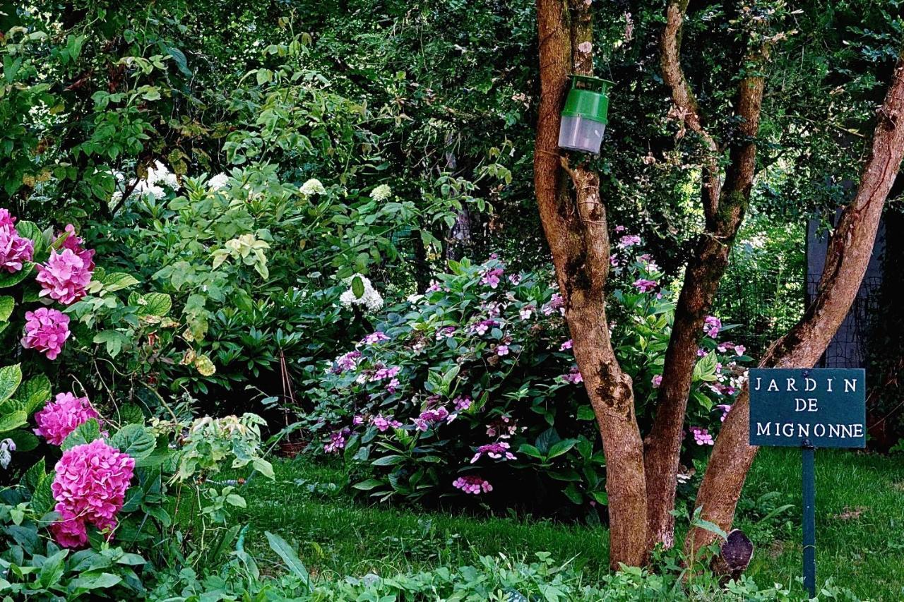 Le Moulin De La Planche Bed & Breakfast Cerelles Bagian luar foto